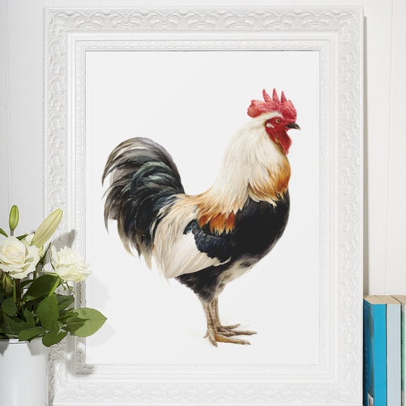 Watercolor Rooster Portrait Wall Art Print Poster, Unframed - Bird Illustration - Picture 6 of 6